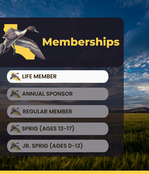 Gift Membership - Life Member