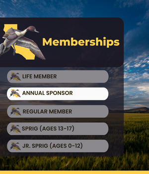 Gift Membership - Annual Sponsor