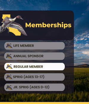 Gift Membership - Regular Member