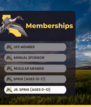 Gift Membership - Junior Sprig