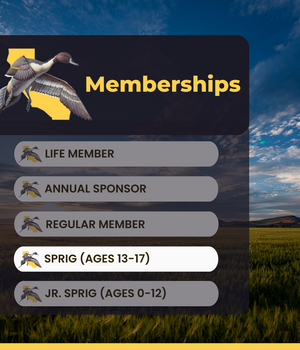Gift Membership - Sprig
