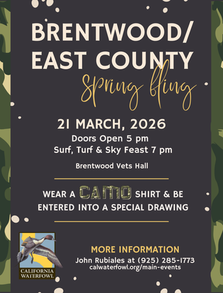 Image description here.