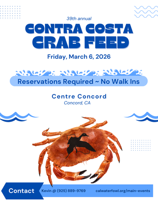 Image description here.