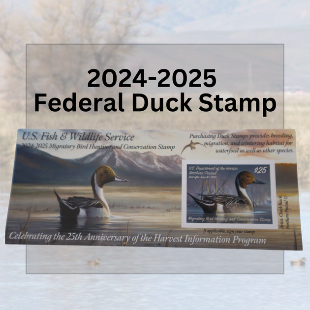 20242025 Federal Duck Stamps — California Waterfowl