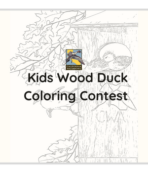 2024 Wood Duck Coloring Contest (Youth)
