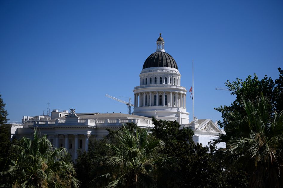 Advocacy Seasons and bag limits, council gun control