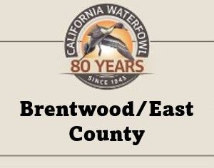 Brentwood/E. County Tickets