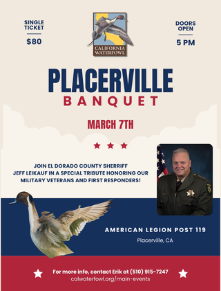 Image description here.