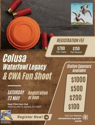 Image description here.