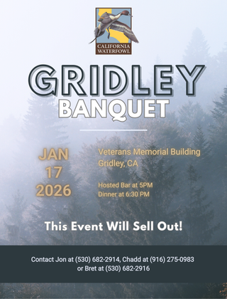 Image description here.