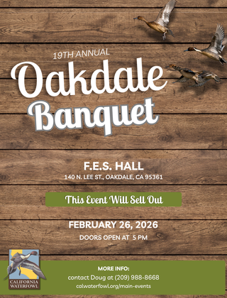 Image description here.