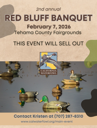 Image description here.