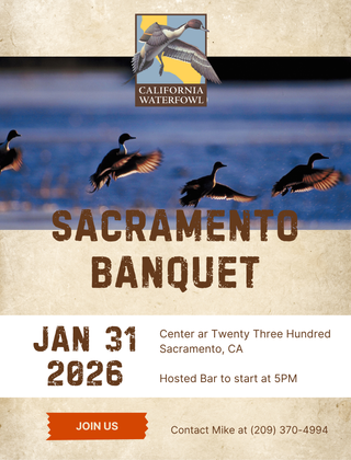 Image description here.