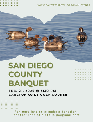 Image description here.