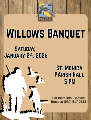 Image description here.