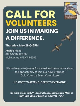 Image description here.