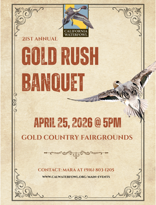 Image description here.