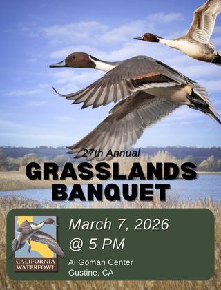 Image description here.