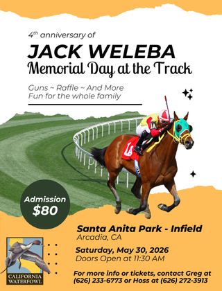 Image description here.