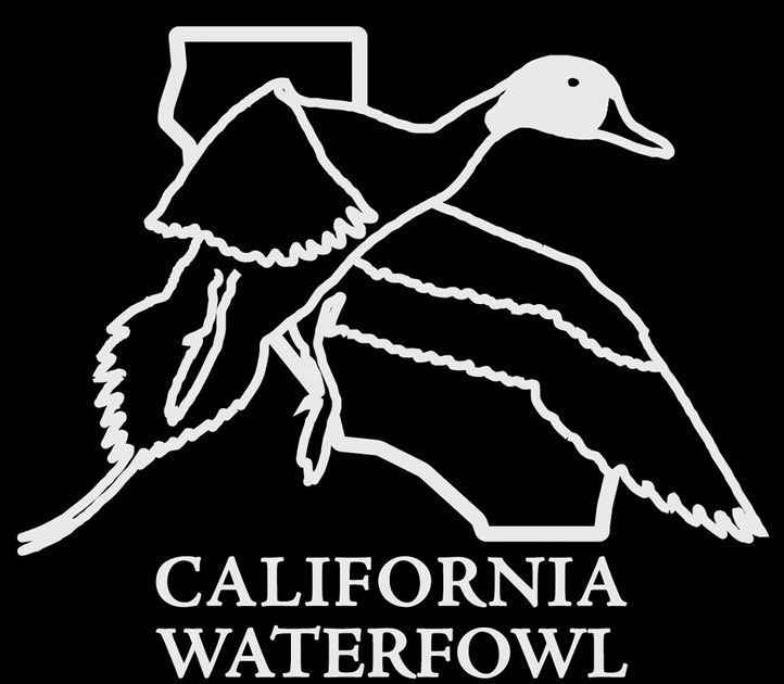 Large CWA Decal Die Cut White — California Waterfowl