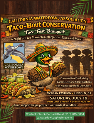 Image description here.