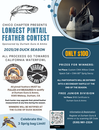 Image description here.