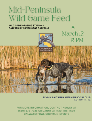 Image description here.