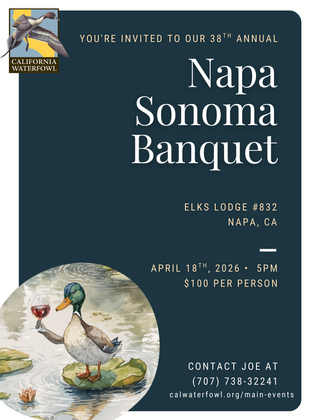 Image description here.