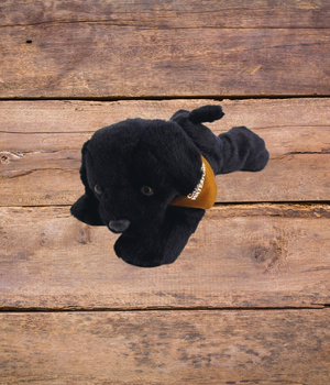 Black Labrador Plushie with CWA Bandana