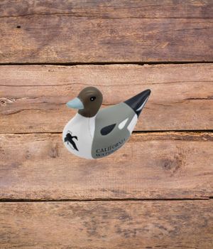 Pintail Stress Duck