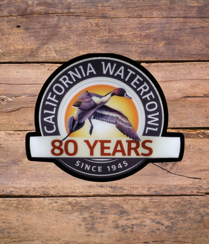 80TH LED Light up sign