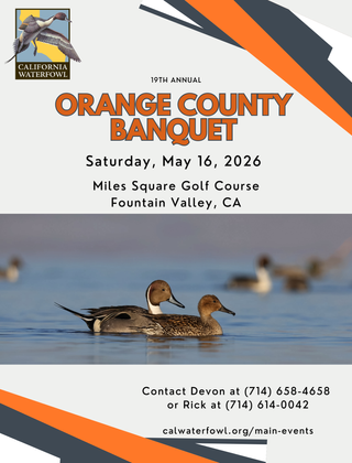 Image description here.