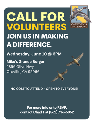 Image description here.