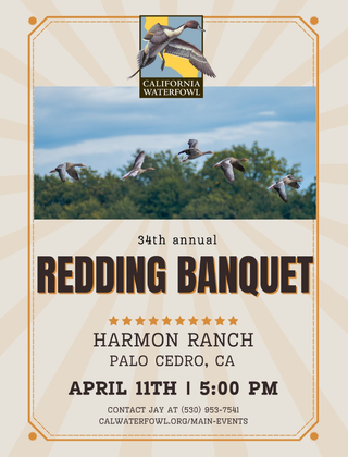 Image description here.