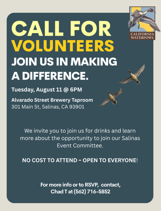 Image description here.