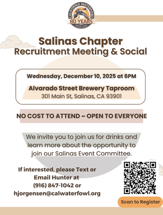 Image description here.