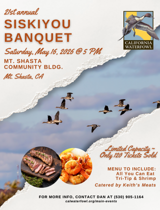 Image description here.