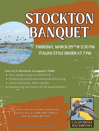 Image description here.