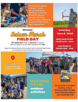 Image description here.