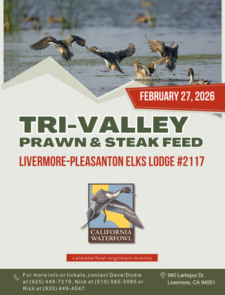 Image description here.