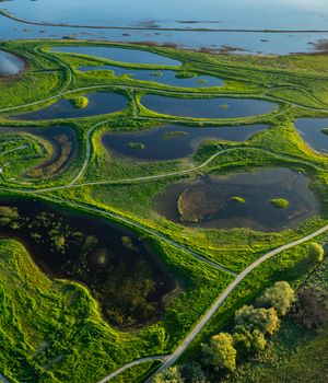 Donate to the Pacific Flyway Center