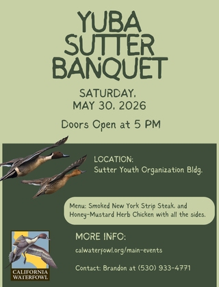 Image description here.