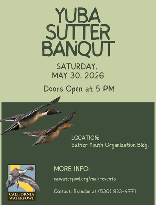 Image description here.