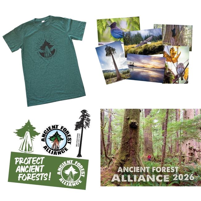 Forest Protector Premium Pack - COMING SOON!