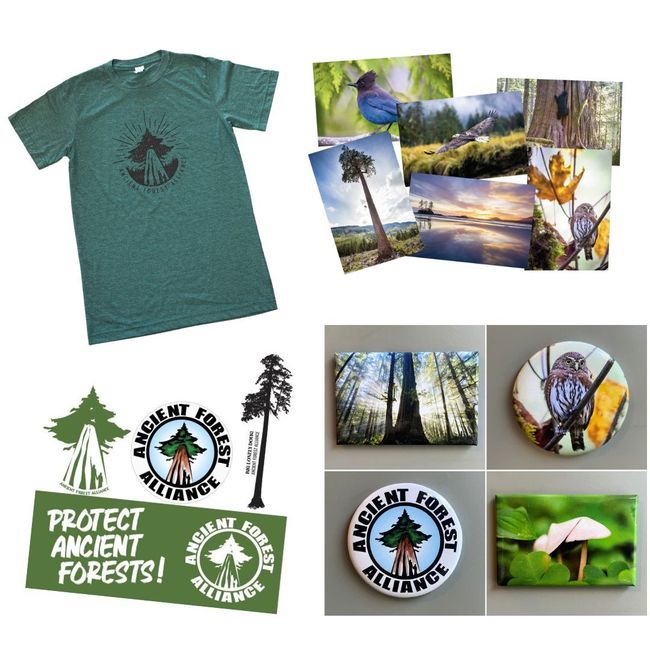 Forest Protector Premium Pack