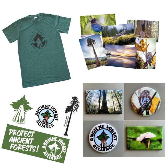 Forest Protector Premium Pack
