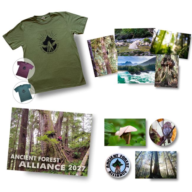 Forest Protector Premium Pack - Updated!