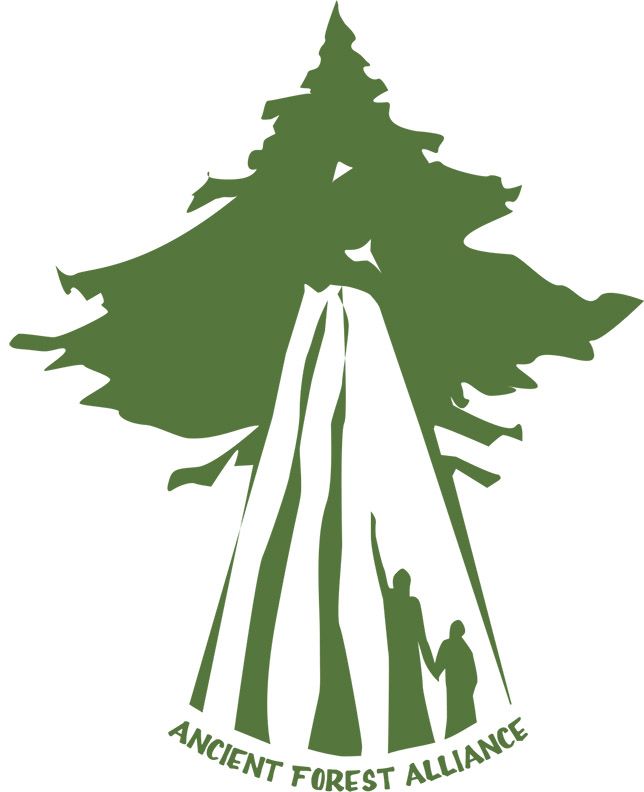 Sticker - Tree
