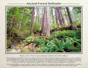 Forest Defender Certificate