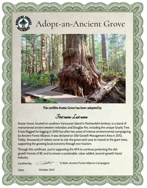 Adopt-a-Grove Certificate